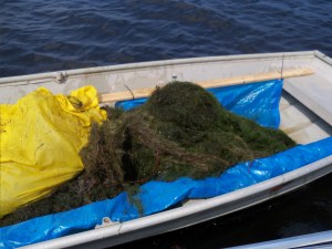 Moving+The+Product+2