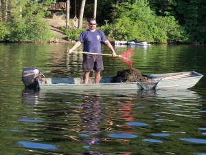 This+Is+How+SDRA+Gathers+The+Big+Bad+Weeds