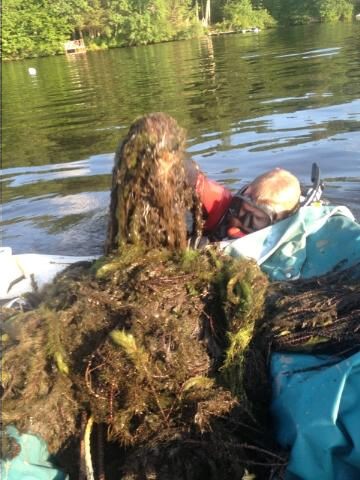 aprofessionaldiver%27sbounty